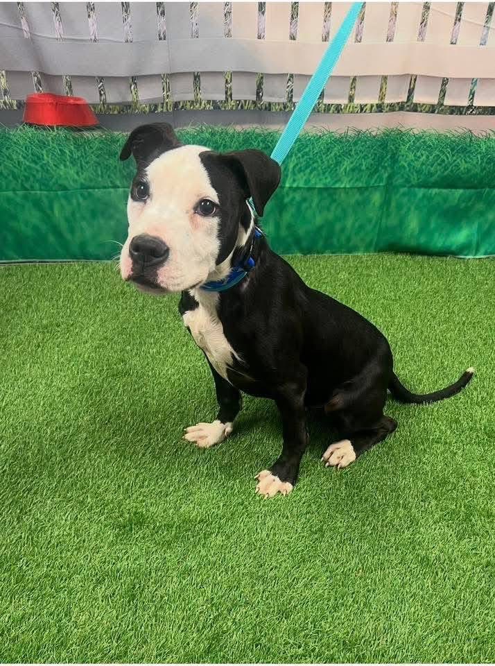 Fionaismybitch tweet media