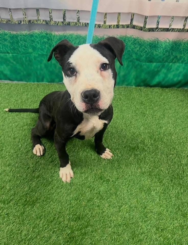 Fionaismybitch tweet media