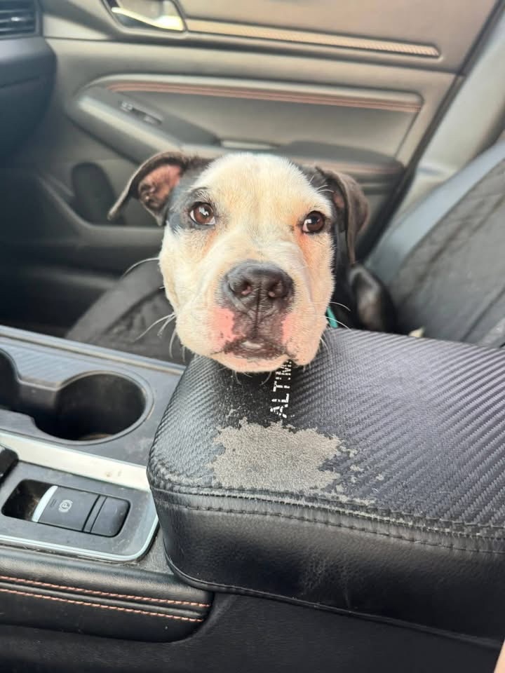 Fionaismybitch tweet media