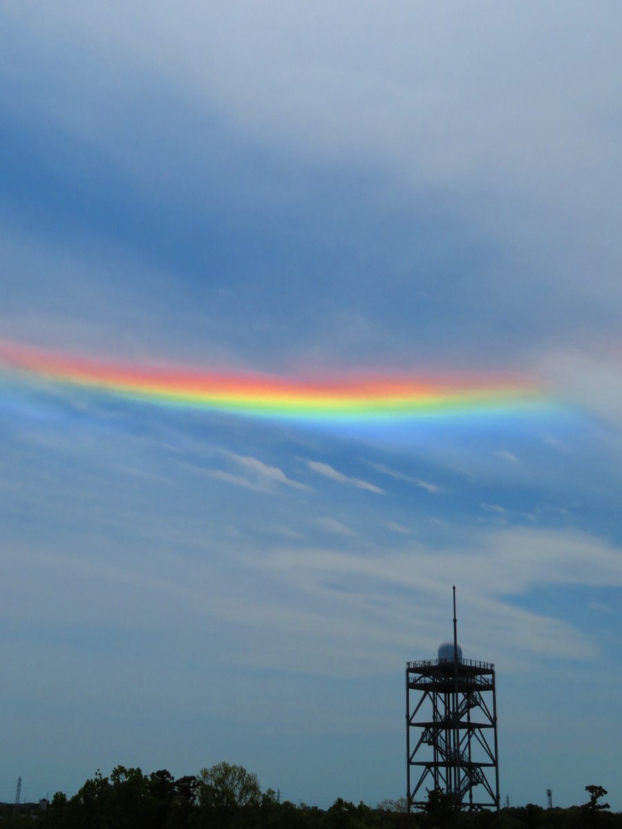 荒木健太郎 tweet media