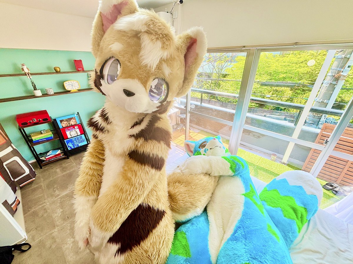 いぬのはし🐾 tweet media