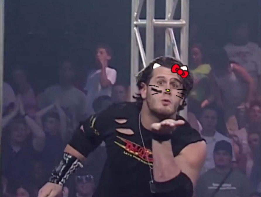 kitty! 💚 tweet media