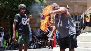 Shady@TreesHaveFeelings tweet media