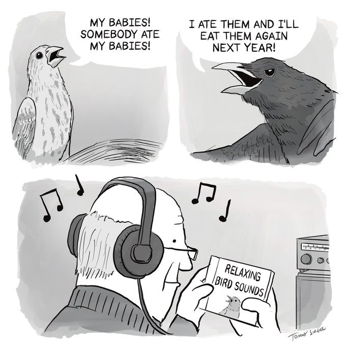 no̵̮͈̟̞͚͗̏b̶̢̭͈͖̥͓̹͈͉̔̋̎̽̑ͅo̸̞͉̿͛̐̓̌̑̒͆dy tweet media