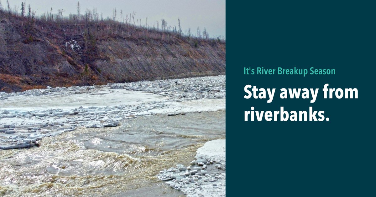 rmwoodbuffalo tweet media