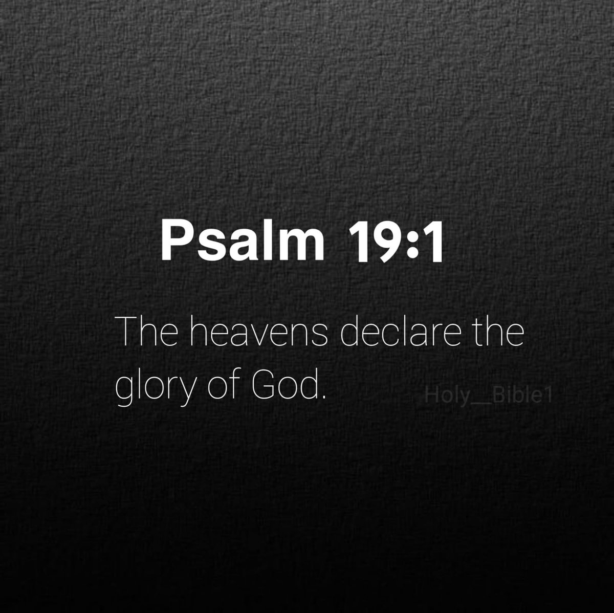 Holy Bible tweet media