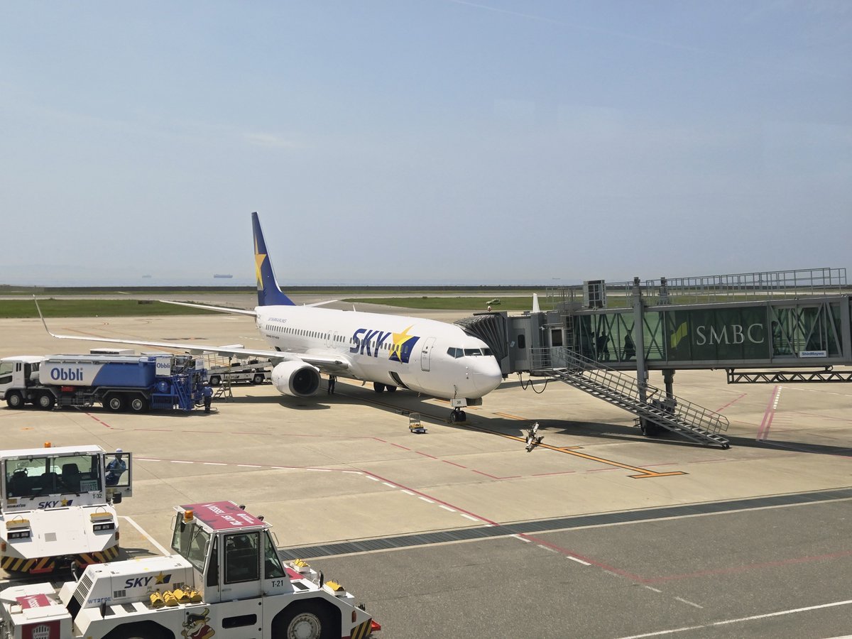 チベット喜多キツネ tweet media