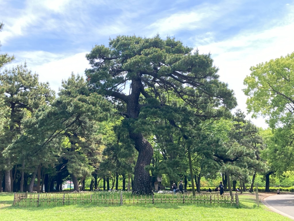 都立代々木公園 tweet media