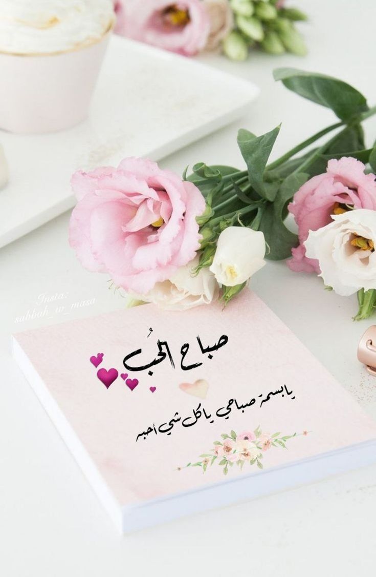 Samer ‏سامر tweet media