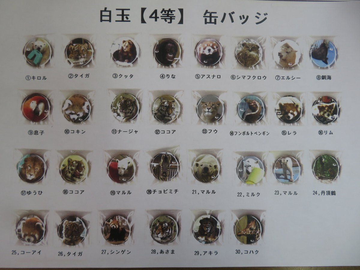 NPO法人釧路市動物園協会 tweet media