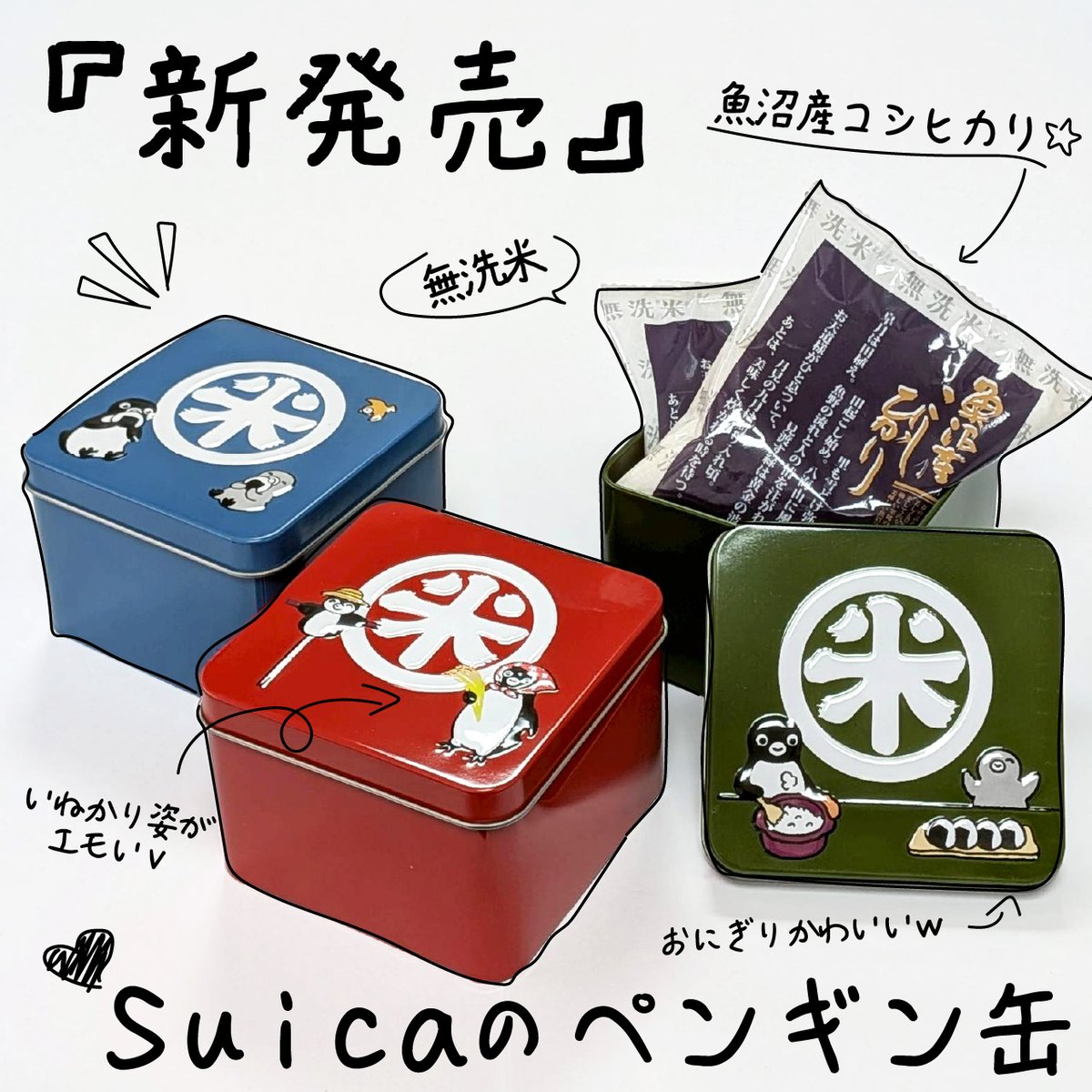 コメノヤ新潟 tweet media