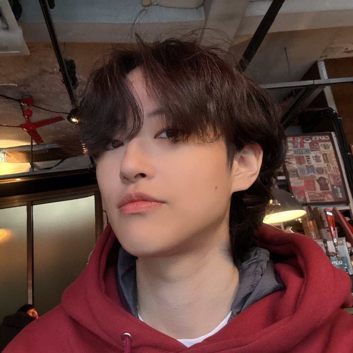 도서관미어캣 tweet media