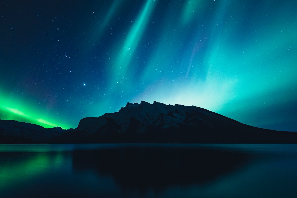 Alex Mack tweet media