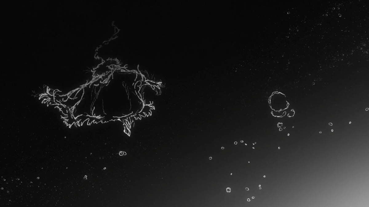 My Name For Now tweet media