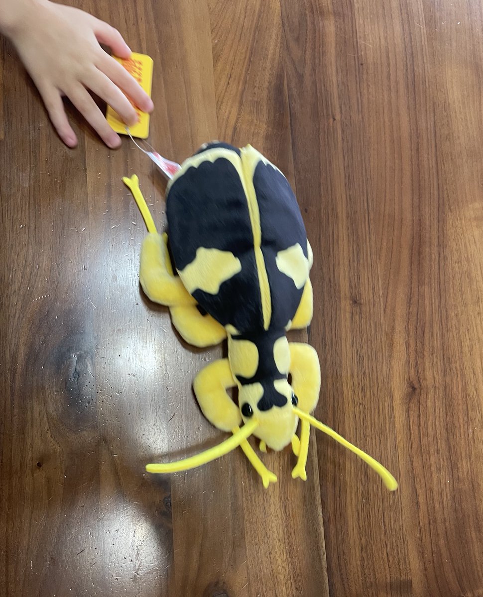 しん@その一瞬のために tweet media