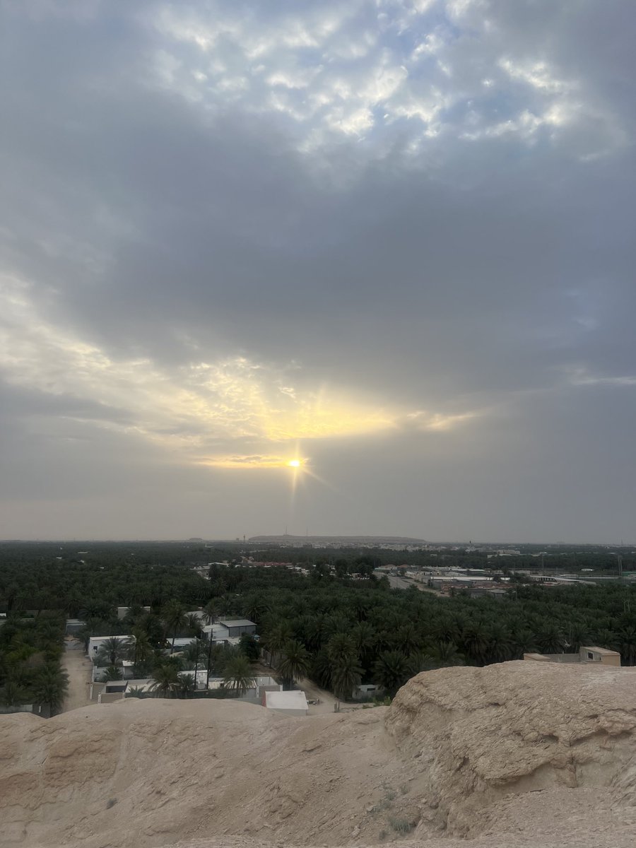 د. محمد إياد العكاري شاعر وأديب tweet media