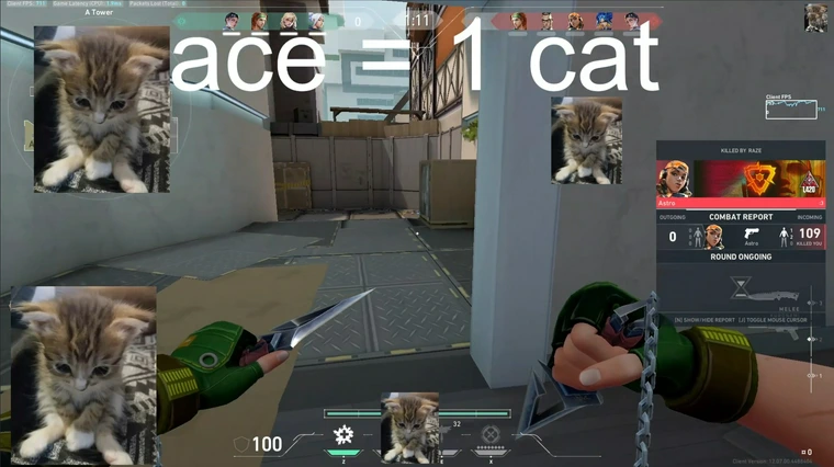 JerrwinMuse tweet media