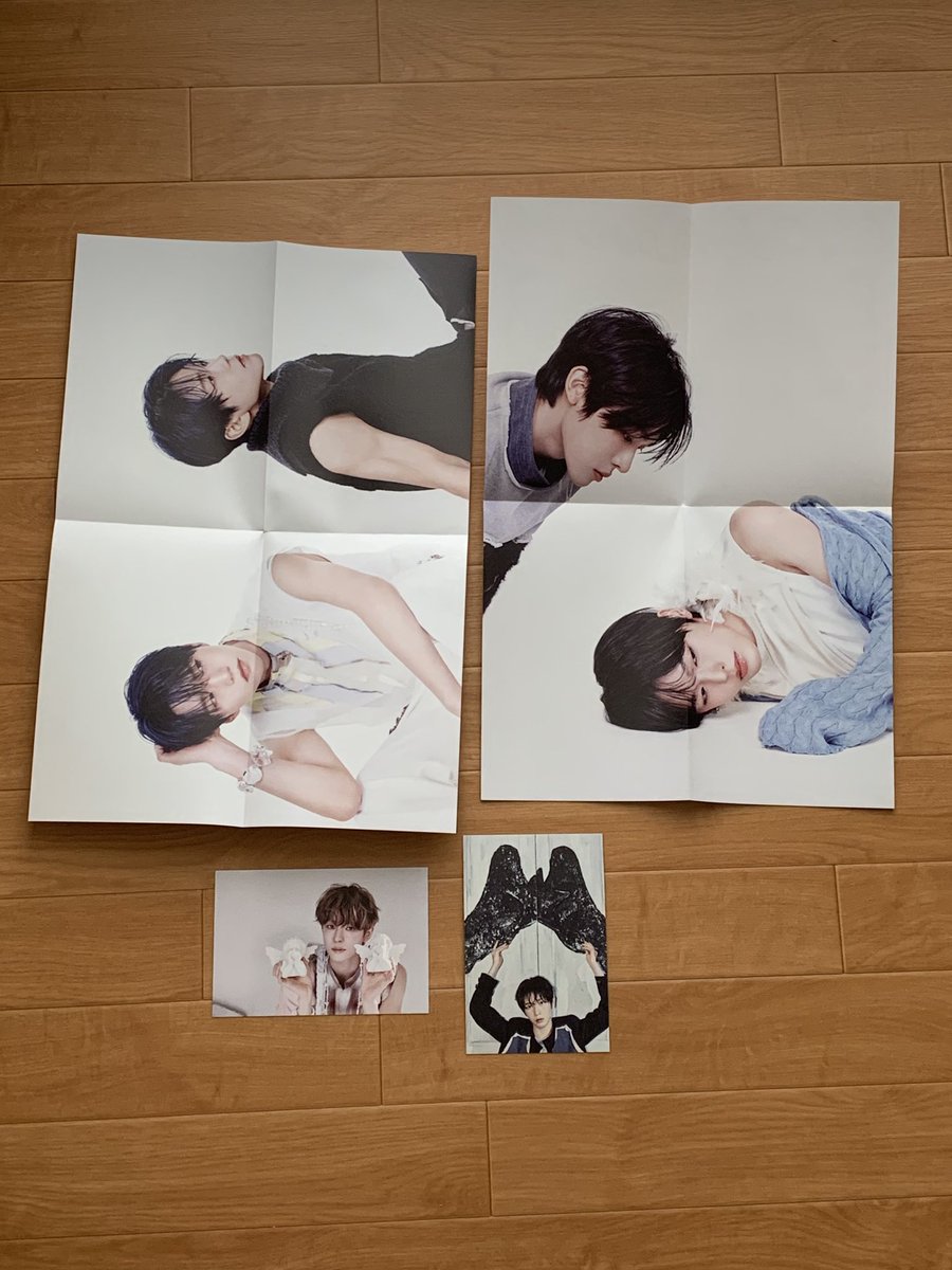 빛 tweet media
