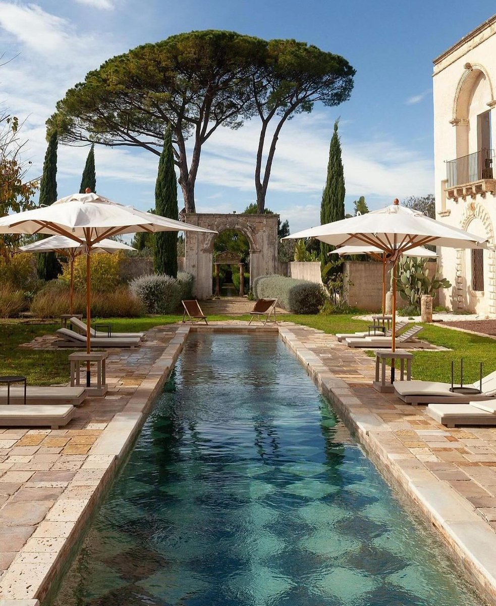 Delight Moments tweet media