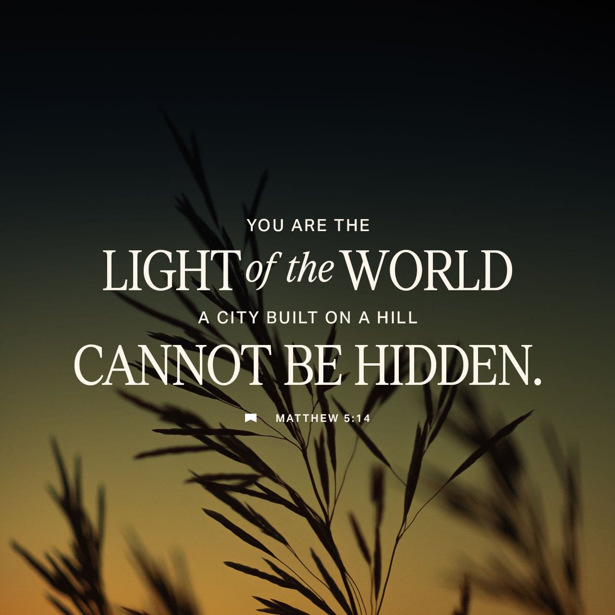 kimikeiki's tweet image. Hello everypony!🌈🎠
Here is today's #VOTD:

"You are the light of the world—like a city built on a hilltop that cannot be hidden." [Matthew 5:14 NLT]

❤️ The light of Christ shines within you when you take His hand in faith. His gorgeous, bright, glistening, beaming light of