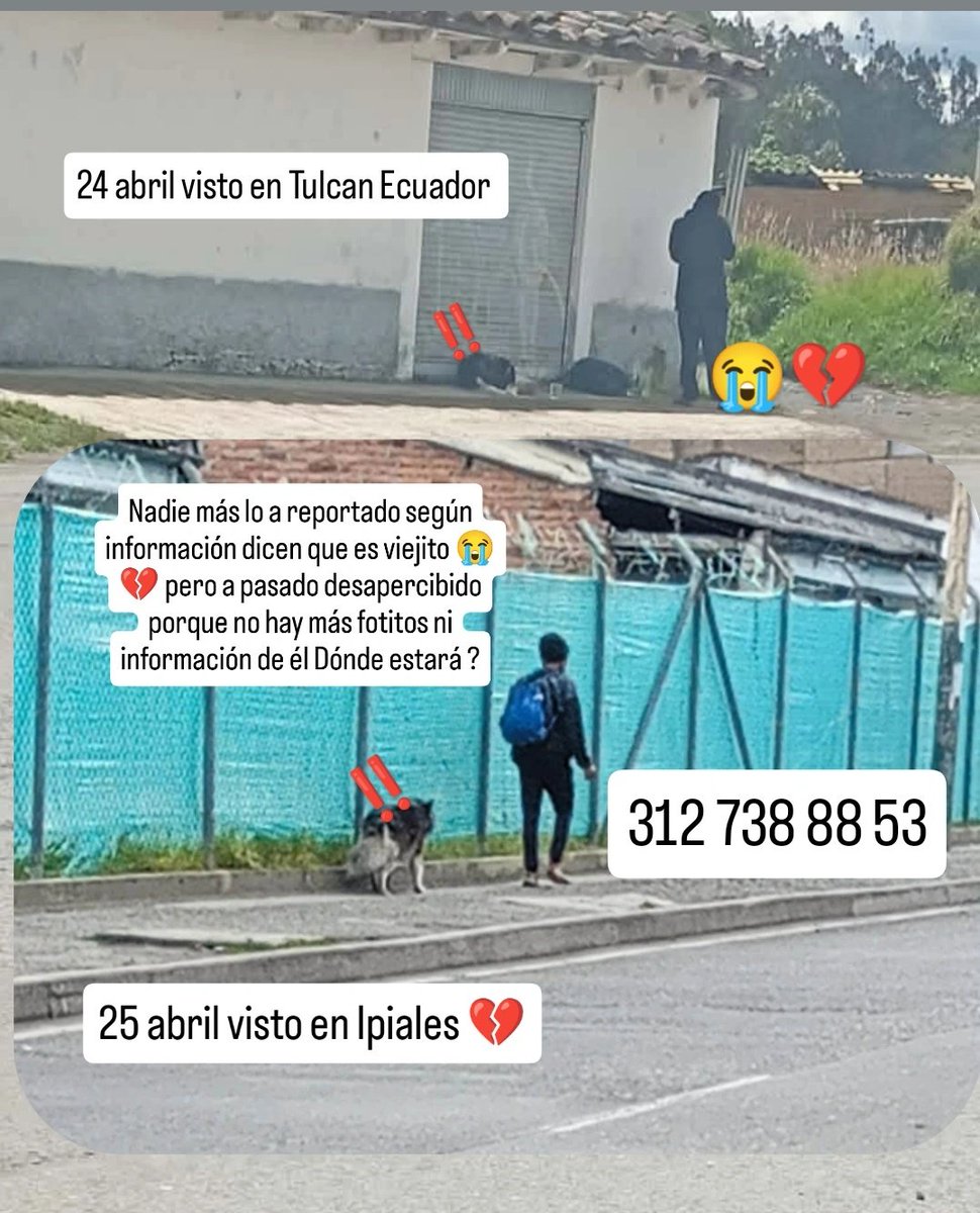 ResAnimal1's tweet photo. Es un viejito 😭💔 pero no hay más fotos de él si lo ven porfavbr enviar ubicación y fotos más cerca ,ese perrito lo pueden estar buscando en algún lugar, ahora puede estar en Pasto o Popayán #leycaminantes @eravelasco @andreanimalidad @MigracionCol @ICACOLOMBIA https://t.co/ME9QJlmWMy