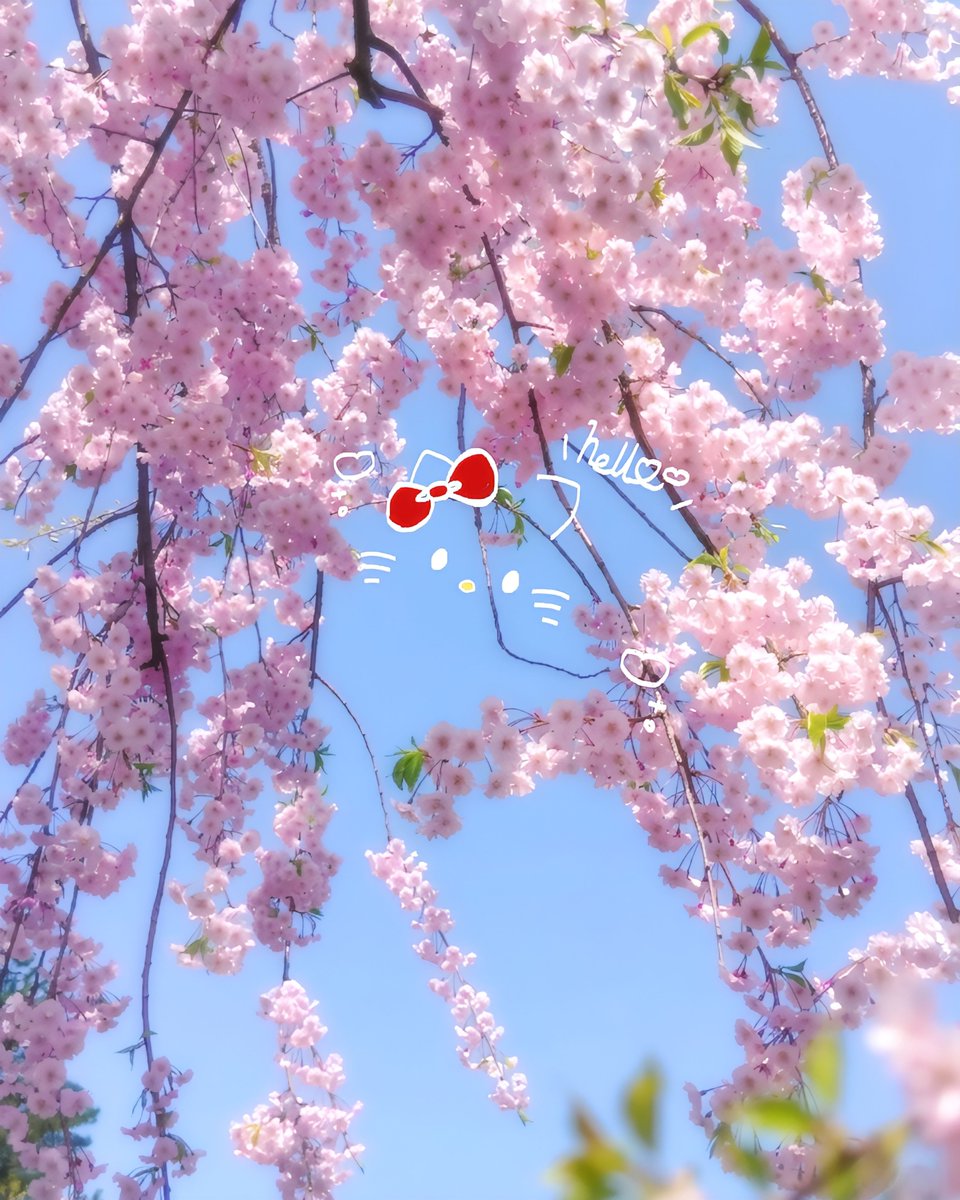 いちご🍓 tweet media