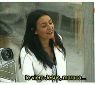 Mary🌳🌎 tweet media