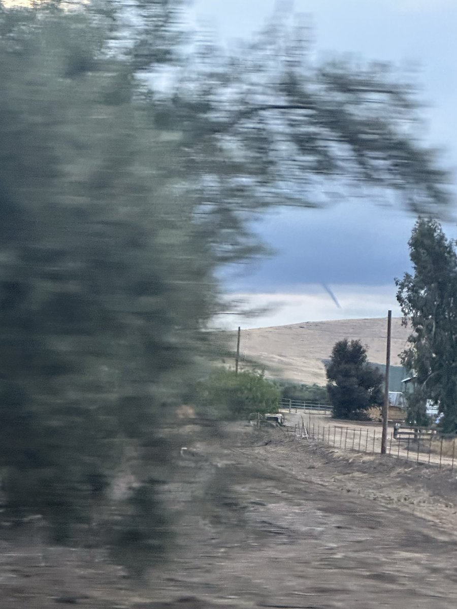 𓂀𓁝DJMFSOKU tweet media