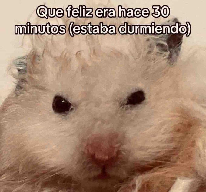 flanchota's tweet photo. https://t.co/0G3xaQXDqg