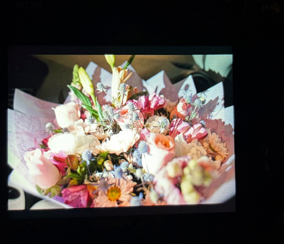 ‍ 𝄞 tweet media