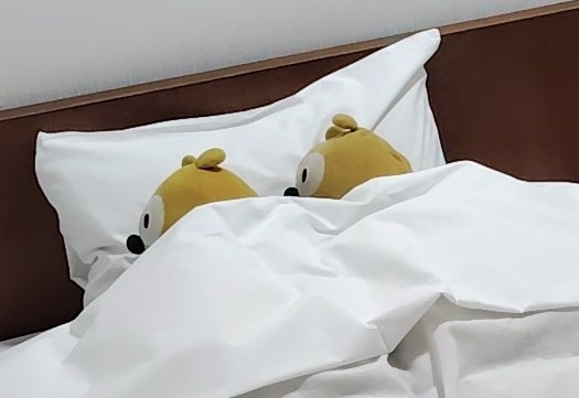 なまもの tweet media