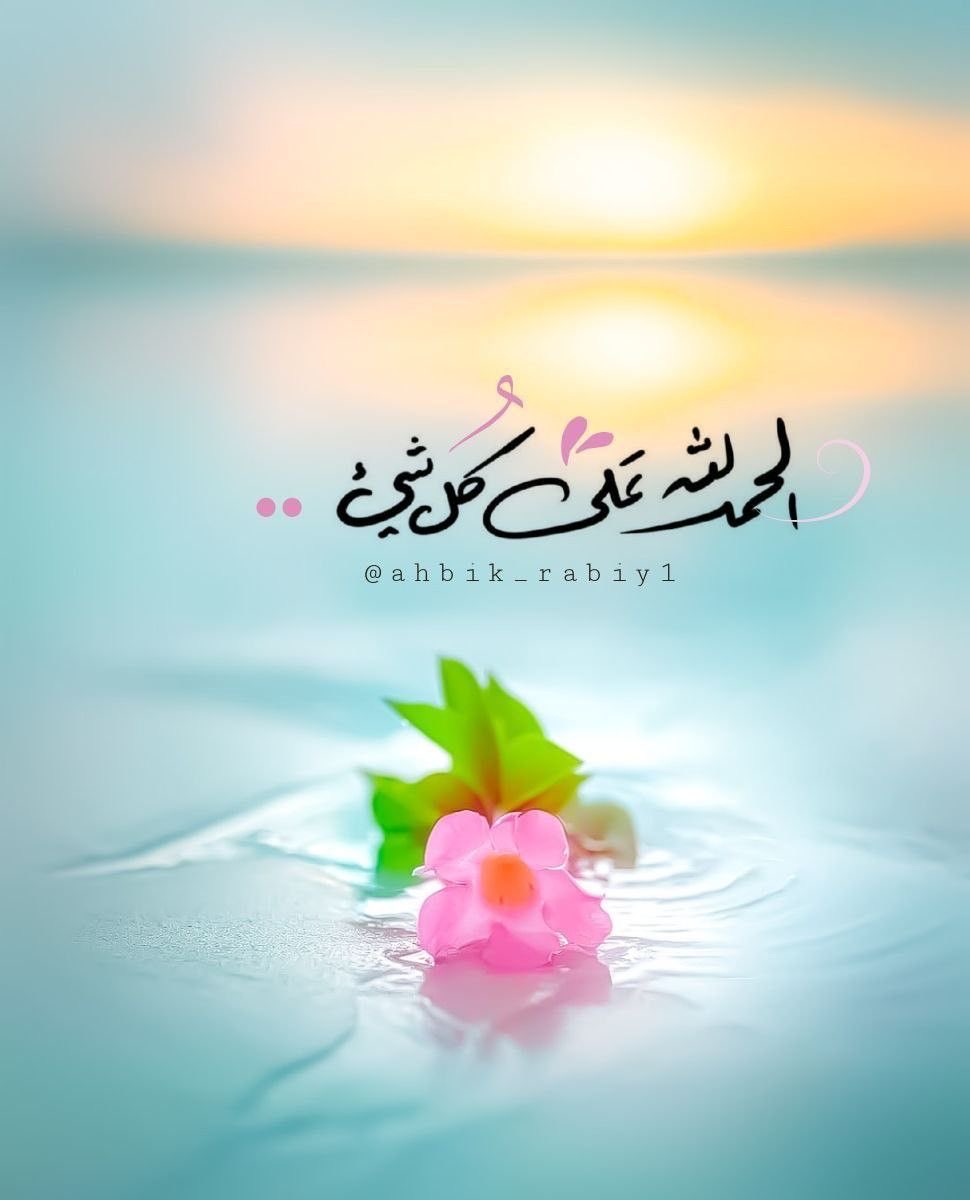 علي tweet media