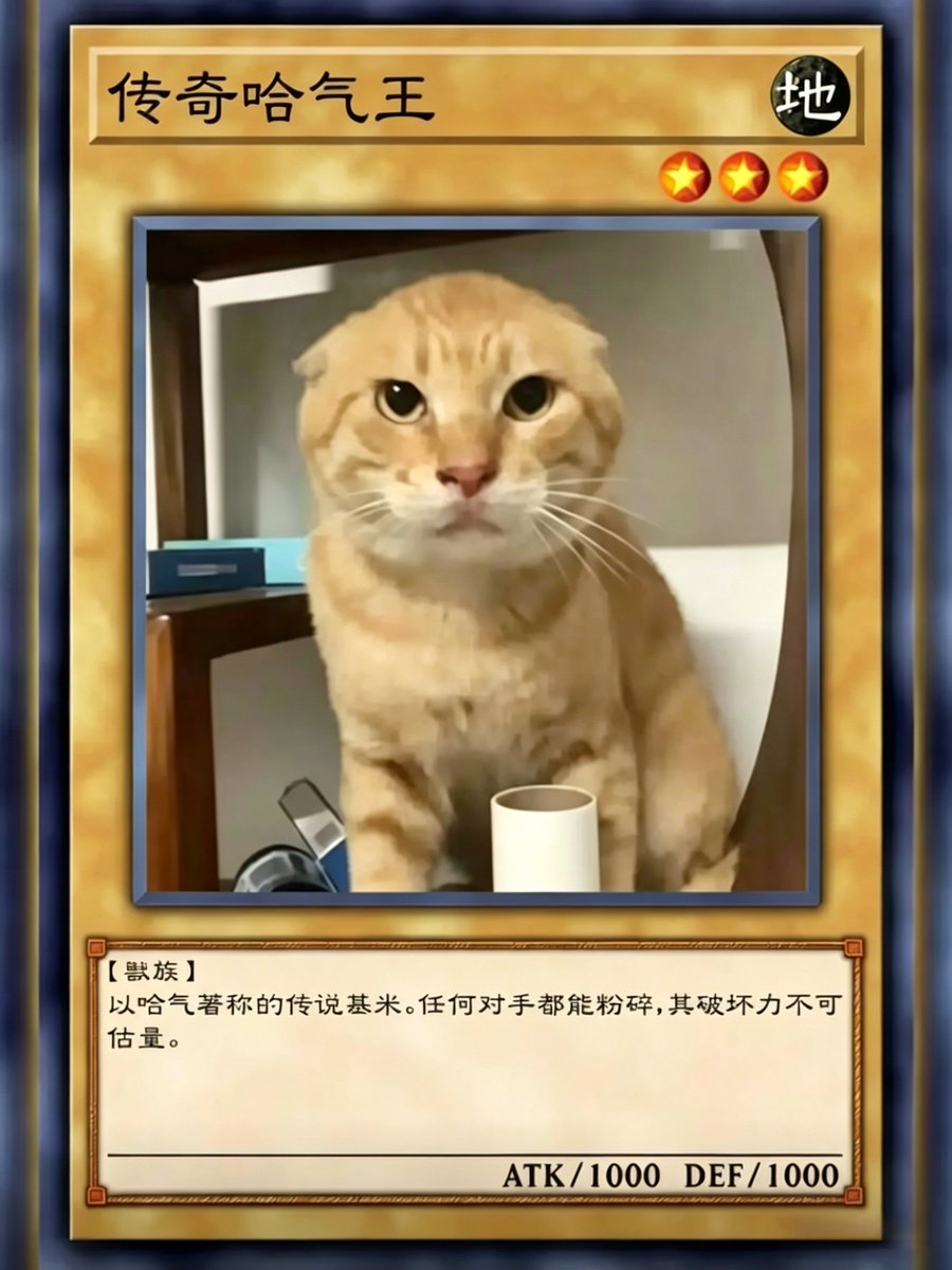 哈基米 tweet media