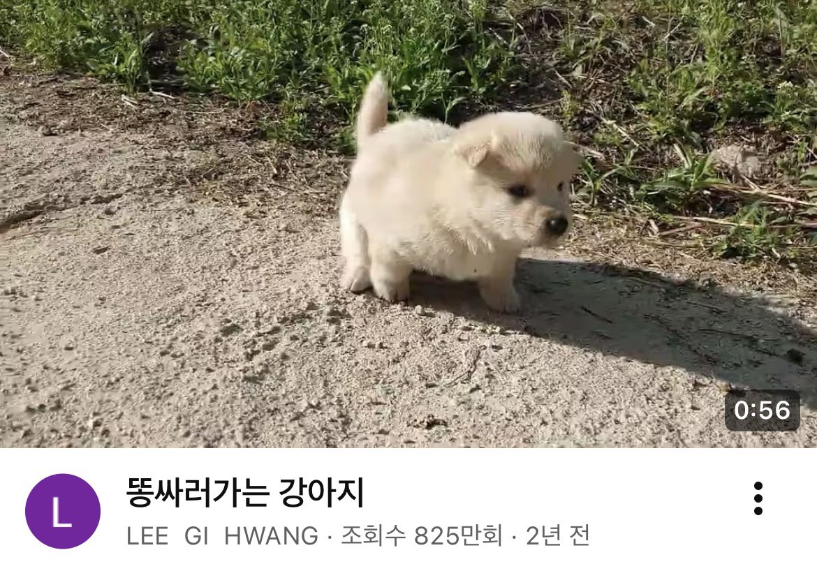 𝙃𝙔𝙀 tweet media