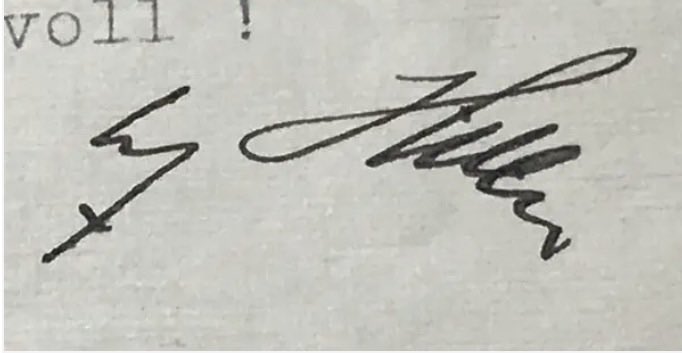 Grandma of Splatoon Grandma Fame tweet media