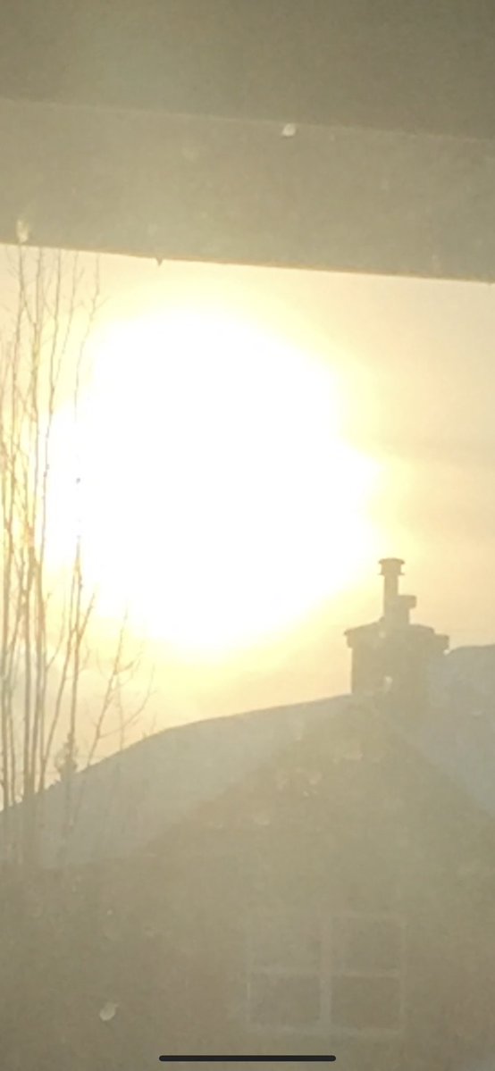 Bold Ideas tweet media