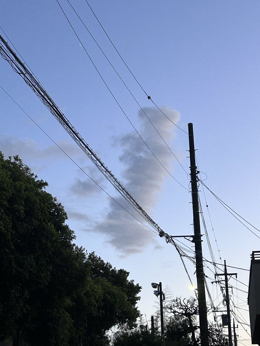 酒クズみぃ@部屋キャン女子🍶 tweet media