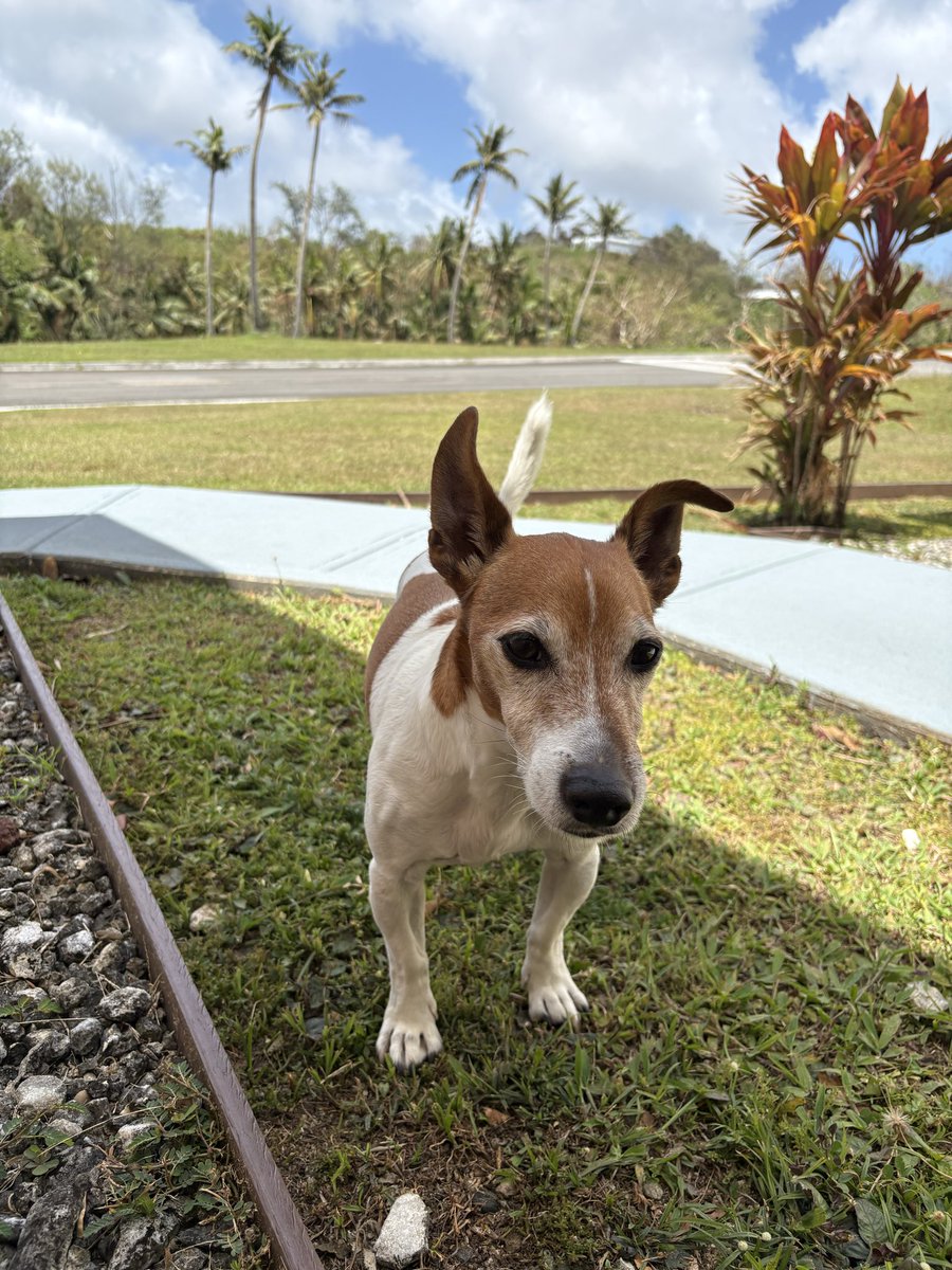 Sidika Kelly | Ops → Web3 tweet media