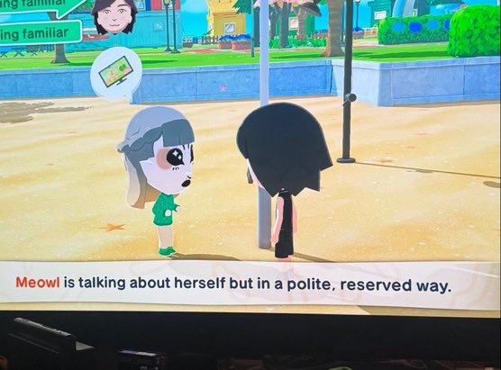 bucky (•ᴥ•ʋ) tweet media