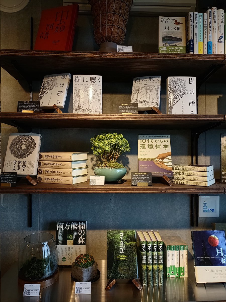 DUAL BOOKs tweet media