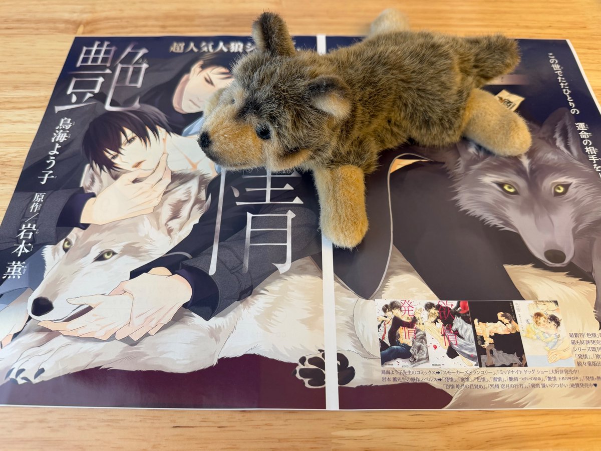 kaoruiwamoto's tweet photo. 本日発売のGOLD６月号にて「艶情」連載がスタートです。有り難くも巻頭カラーをいただいております。鳥海先生のクールなカラー、繊細でスタイリッシュなモノクロをご堪能ください。タカのつがいは貴族的でありながらアルファオオカミの野性味も備えた英国の人狼です。二人のヒリヒリする恋と執着の物語をお楽しみください！