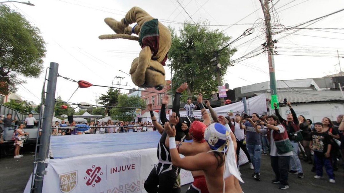 Paul Anko tweet media