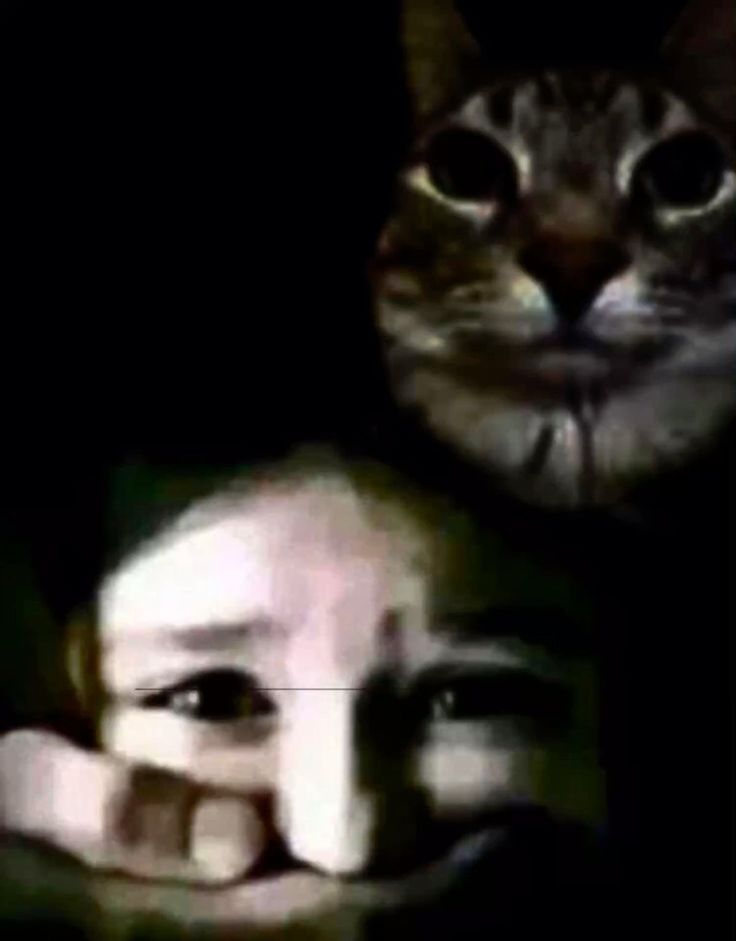 Ramuu_____'s tweet image. Directo de terror omg me asuste ¡ENTRA!
twitch.tv/ramuu___

#terror #live #twitch