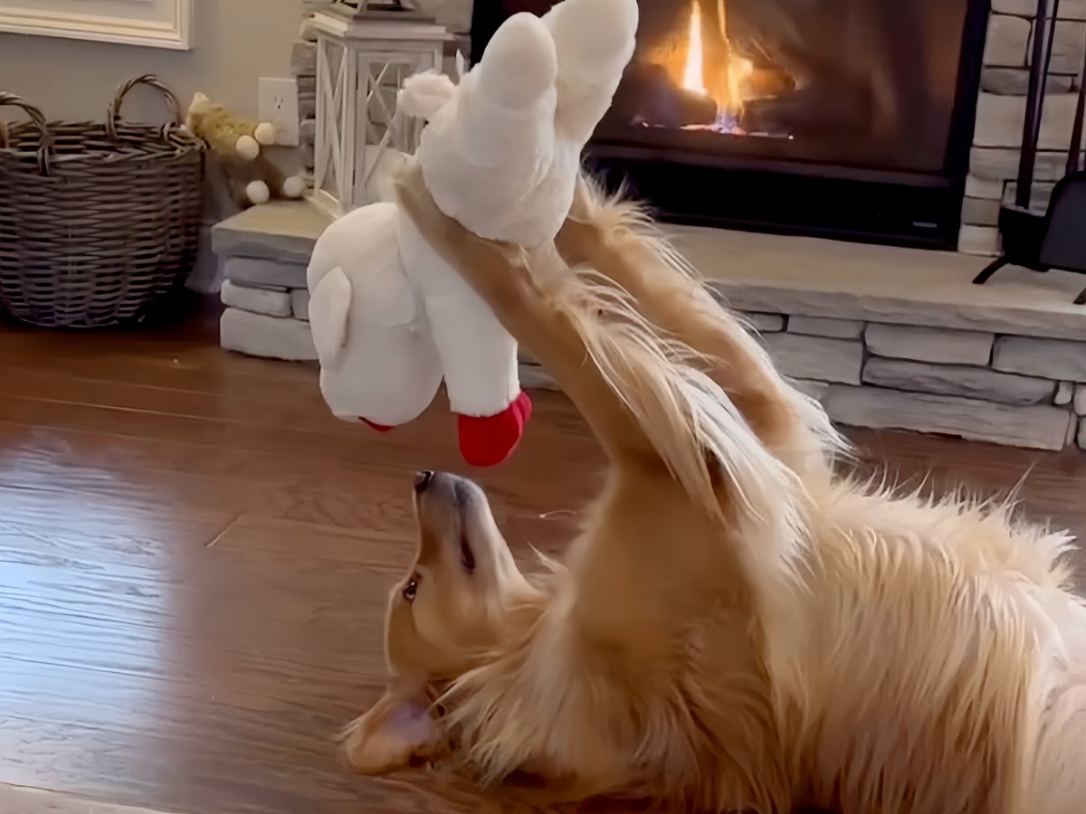 Александр Колупаев tweet media