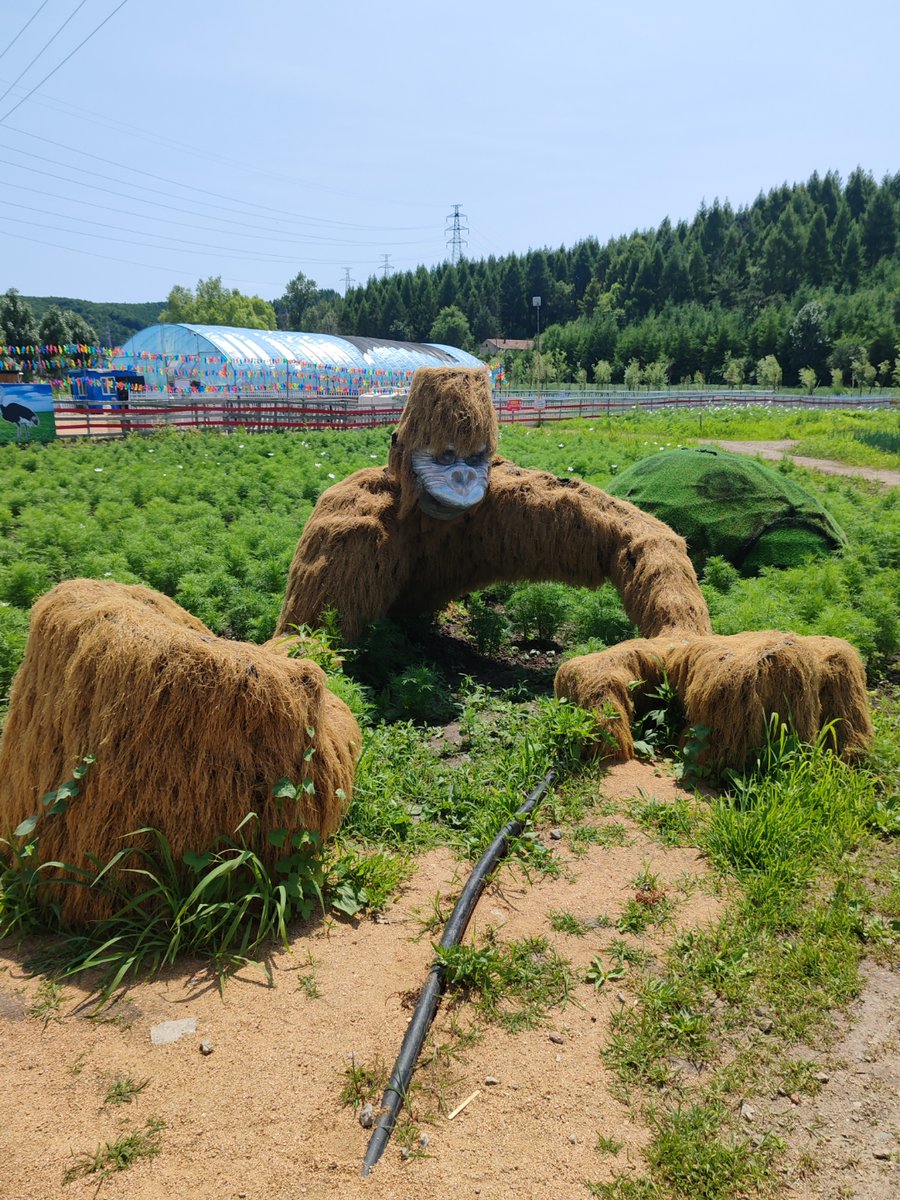Michael Chivers tweet media