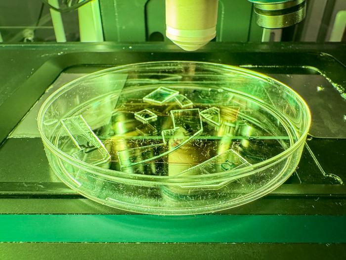 All day Astronomy tweet media