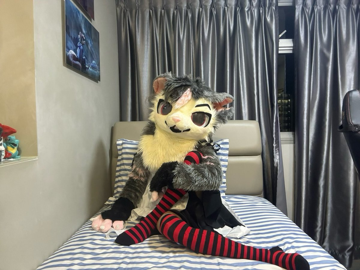 Tem 鼠🐭 🔜 AC 2026 tweet media