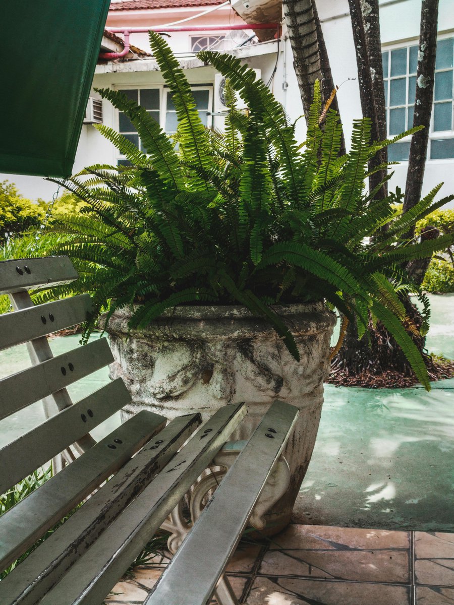 ouroutdooroasis's tweet image. Shop Now
Tip: Use planters to frame seating areas.
ouroutdooroasis.com

#SummerTips #OutdoorDecor #OutdoorOasis #PatioIdeas #BackyardStyle #OutdoorLiving #HomeDecor #SeasonalDecor #OutdoorDesign #ShopNow