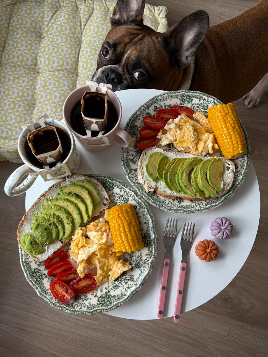 ꪜꪖꪶꫀ᥅ﺃꪖ tweet media