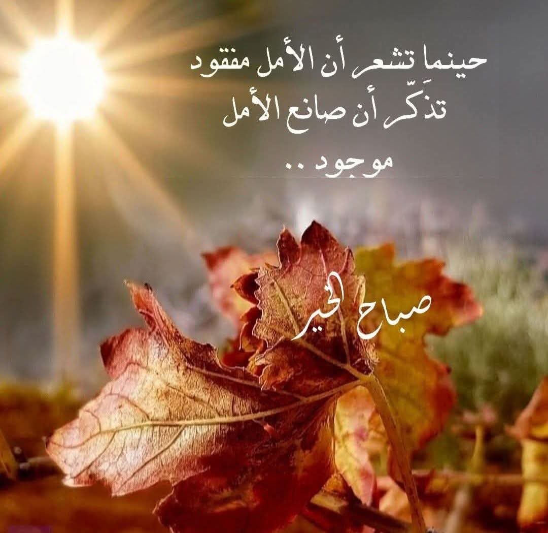madeeha_maarij's tweet photo. صباح الامل بالله العظيم 🌞 https://t.co/dY042LTIdA